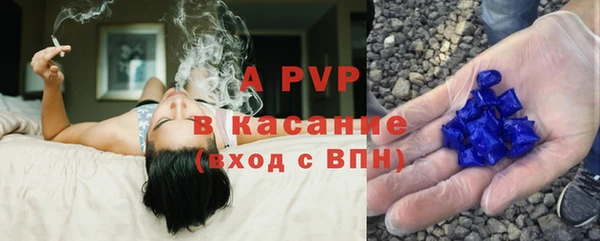 стаф Алзамай