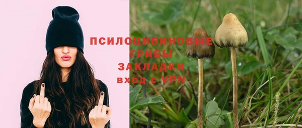 таблы Армянск