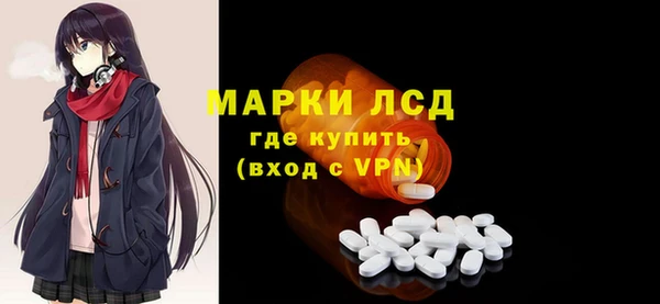 стаф Алзамай