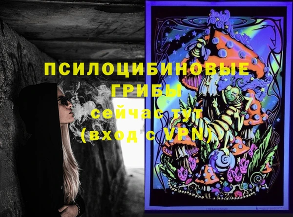 дживик Алексин
