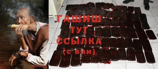 стаф Алзамай