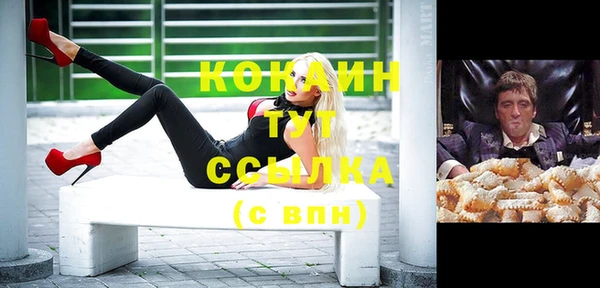 стаф Алзамай