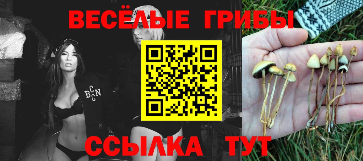 Псилоцибиновые грибы мицелий  Вход с VPN  Тайшет 