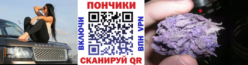 Канабис индика  Тайшет 